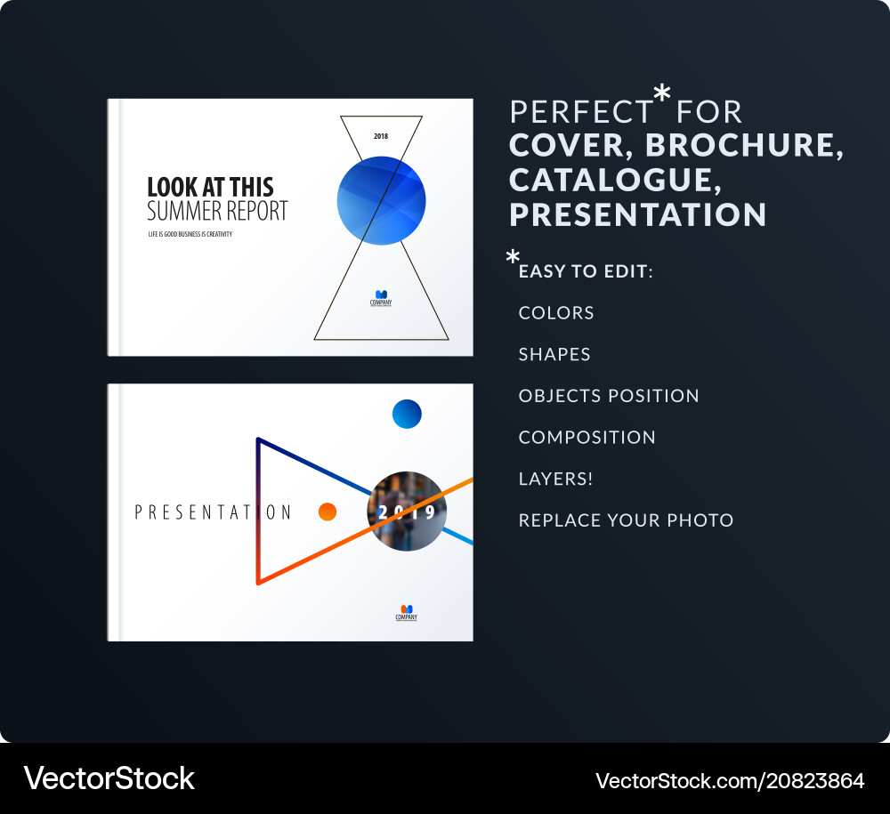 Triangular Presentation Templates vector image