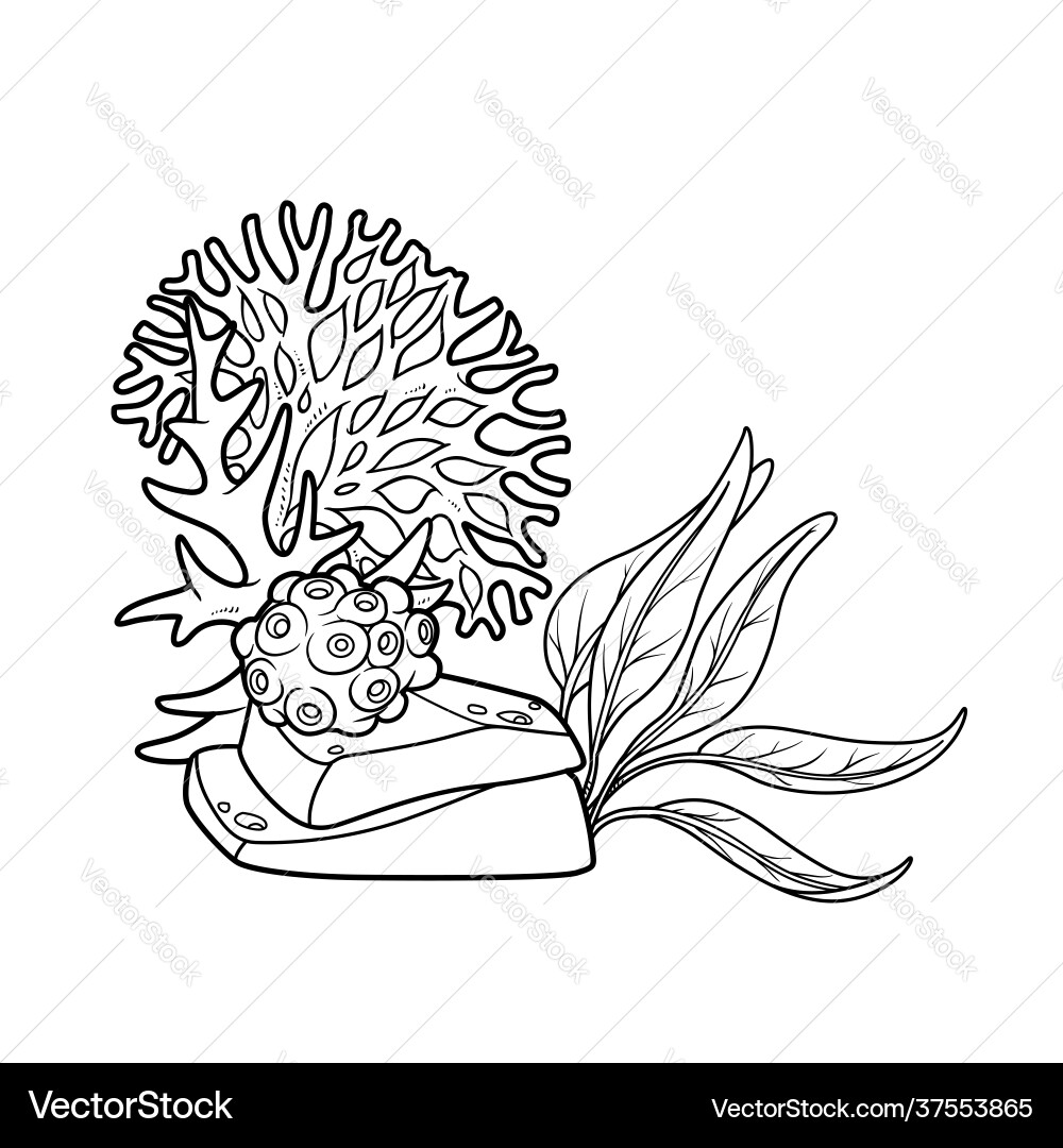 Algae and corals grow on a sandstone coloring Algae and corals grow on a sandstone coloring vector image
