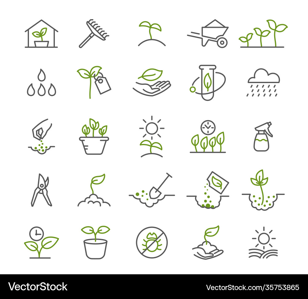 Set icons growing seedlings plant shoots Set icons growing seedlings plant shoots vector image