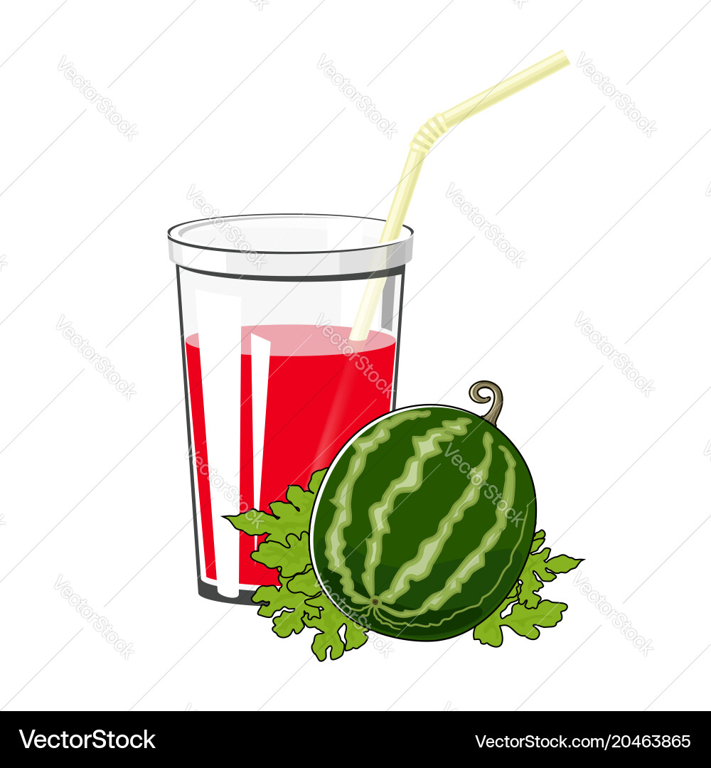 Watermelon Juice in Glass Vector Image