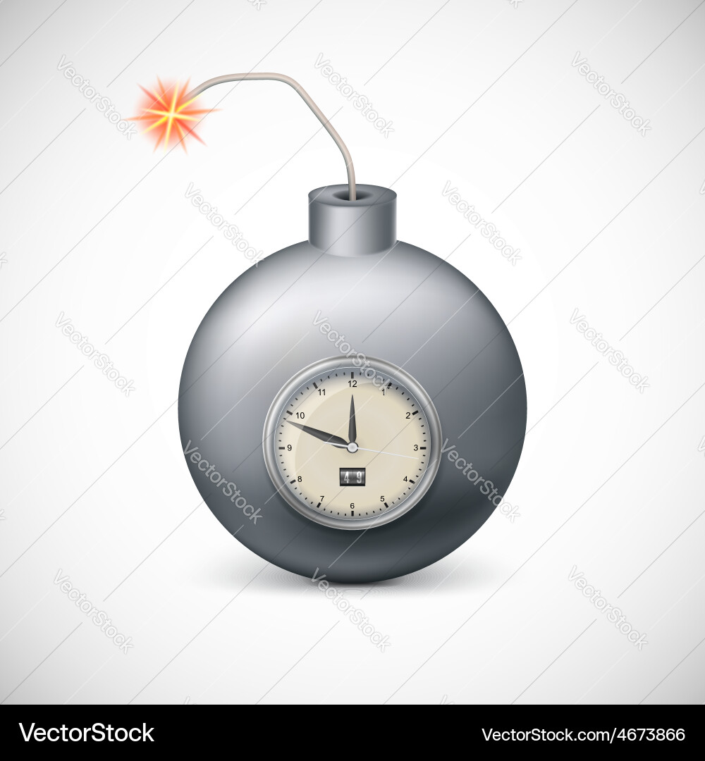 Dynamite with clock Vector Image