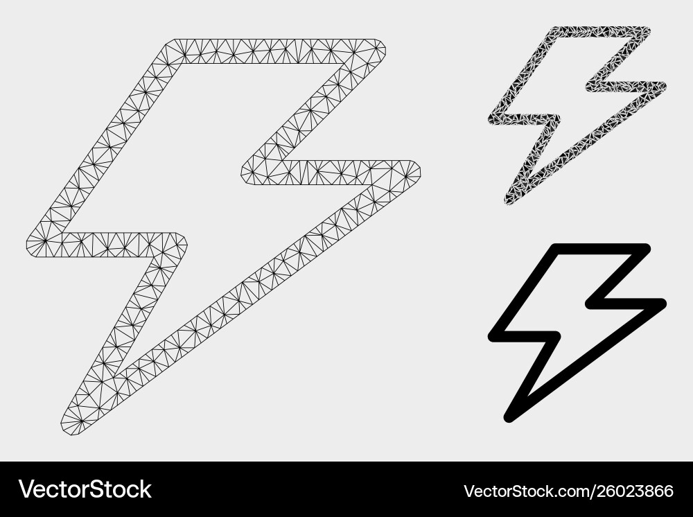 Flash mesh carcass model and triangle Flash mesh carcass model and triangle vector image