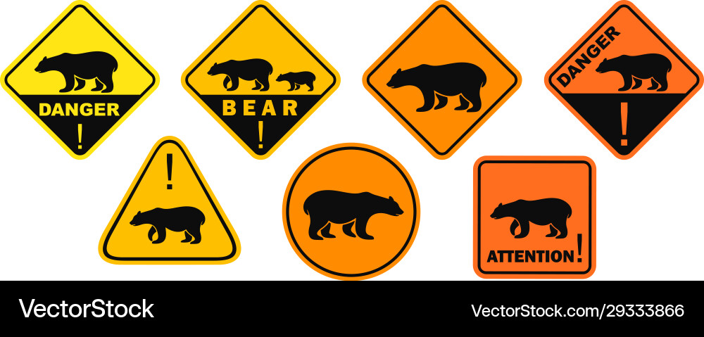 White bear vector image