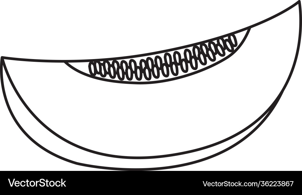 Cantaloupe slice icon line style Vector Image
