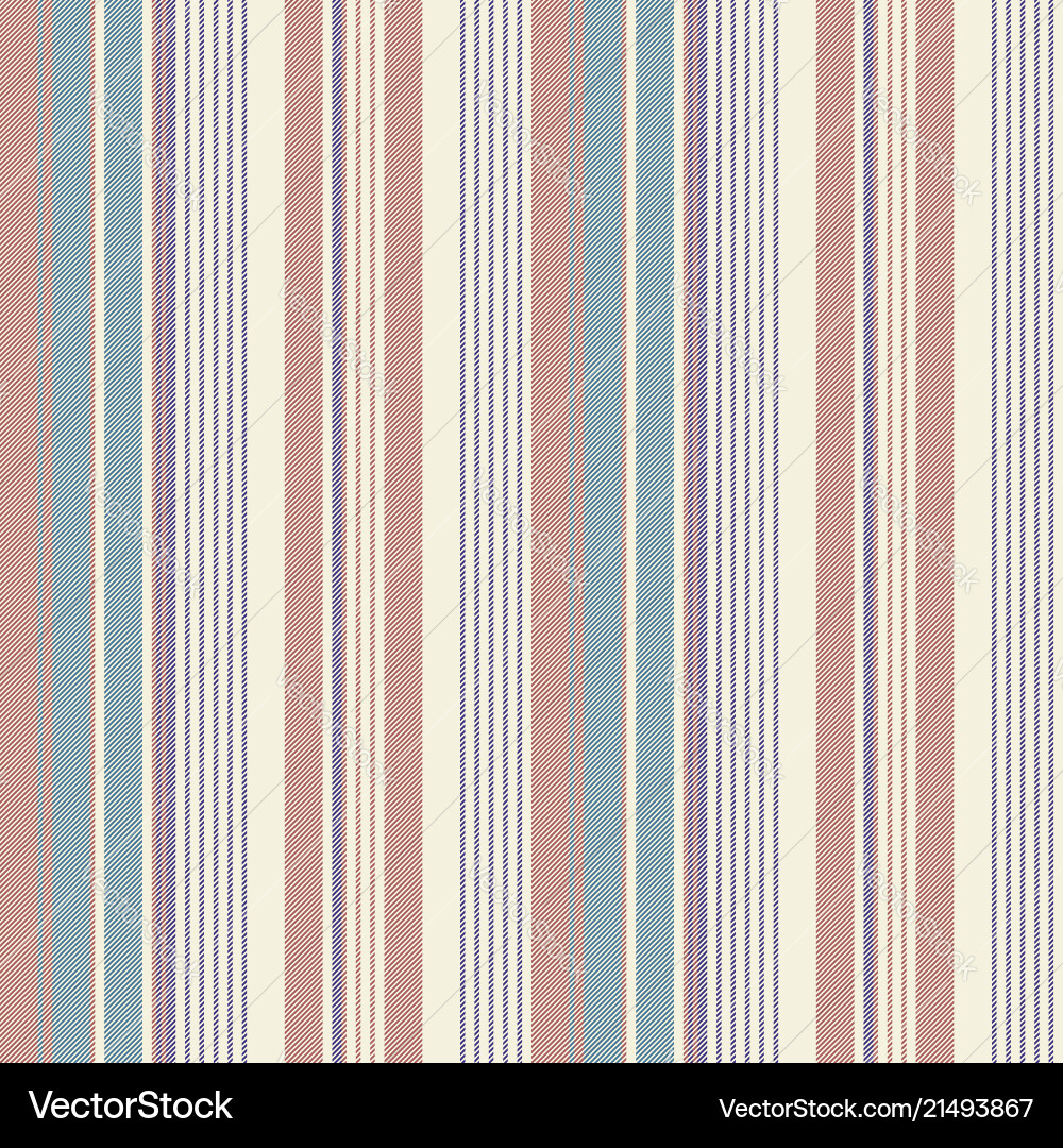 Elegant Striped Background Pattern vector image