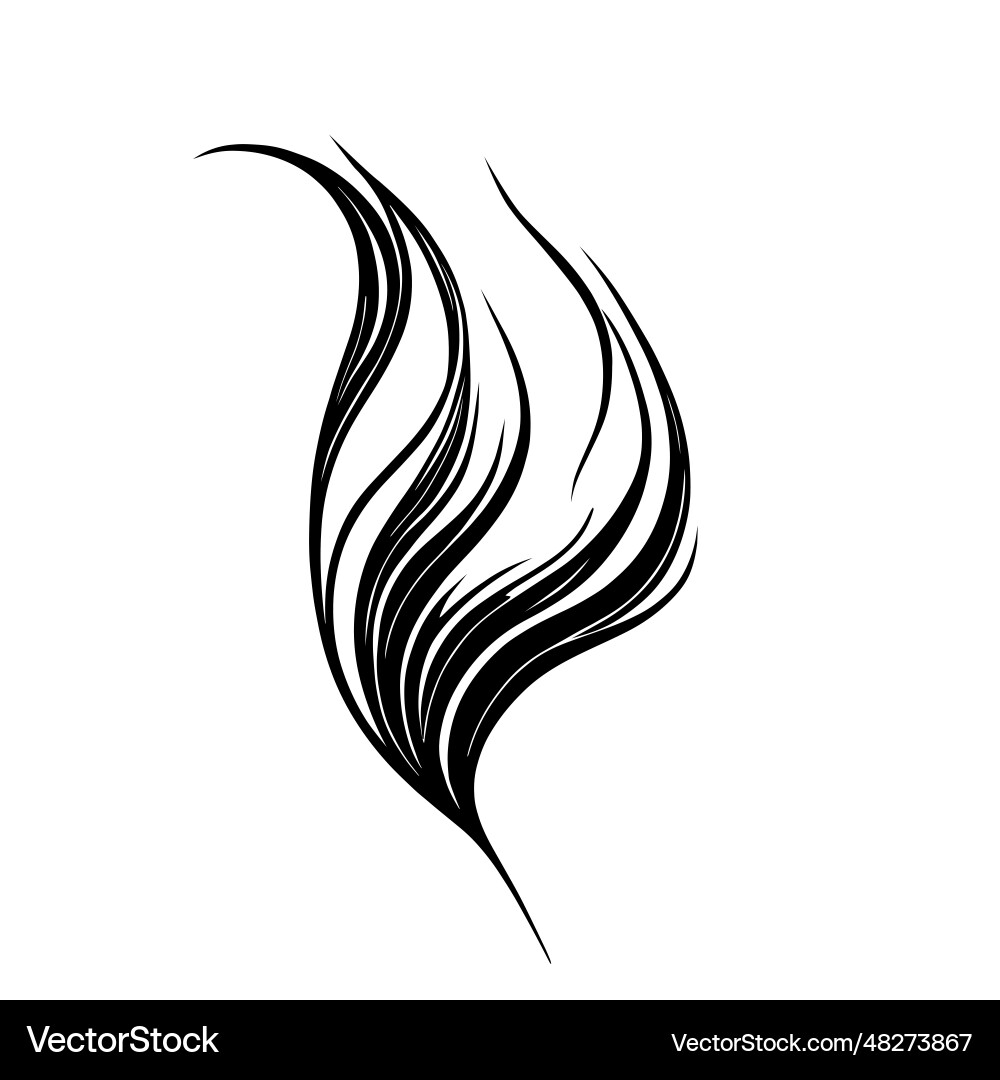 Feather pattern Feather pattern vector image