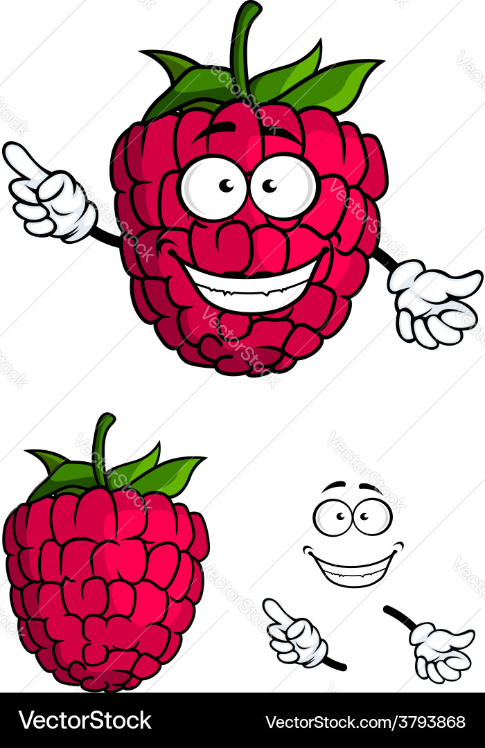 Smiling Raspberry Fruit vector image