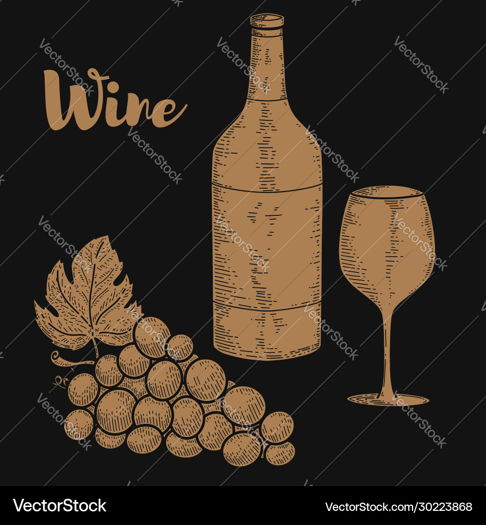 Wine bottle and grape in engraving style design Wine bottle and grape in engraving style design vector image