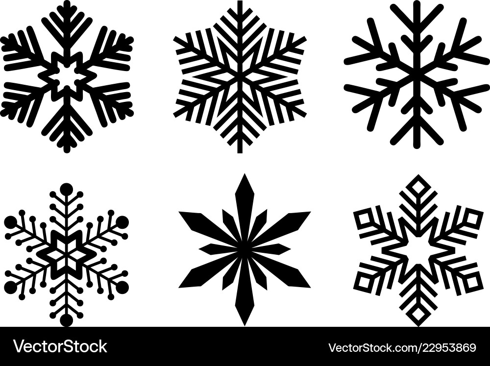 Collection of Snowflake Patterns vector image