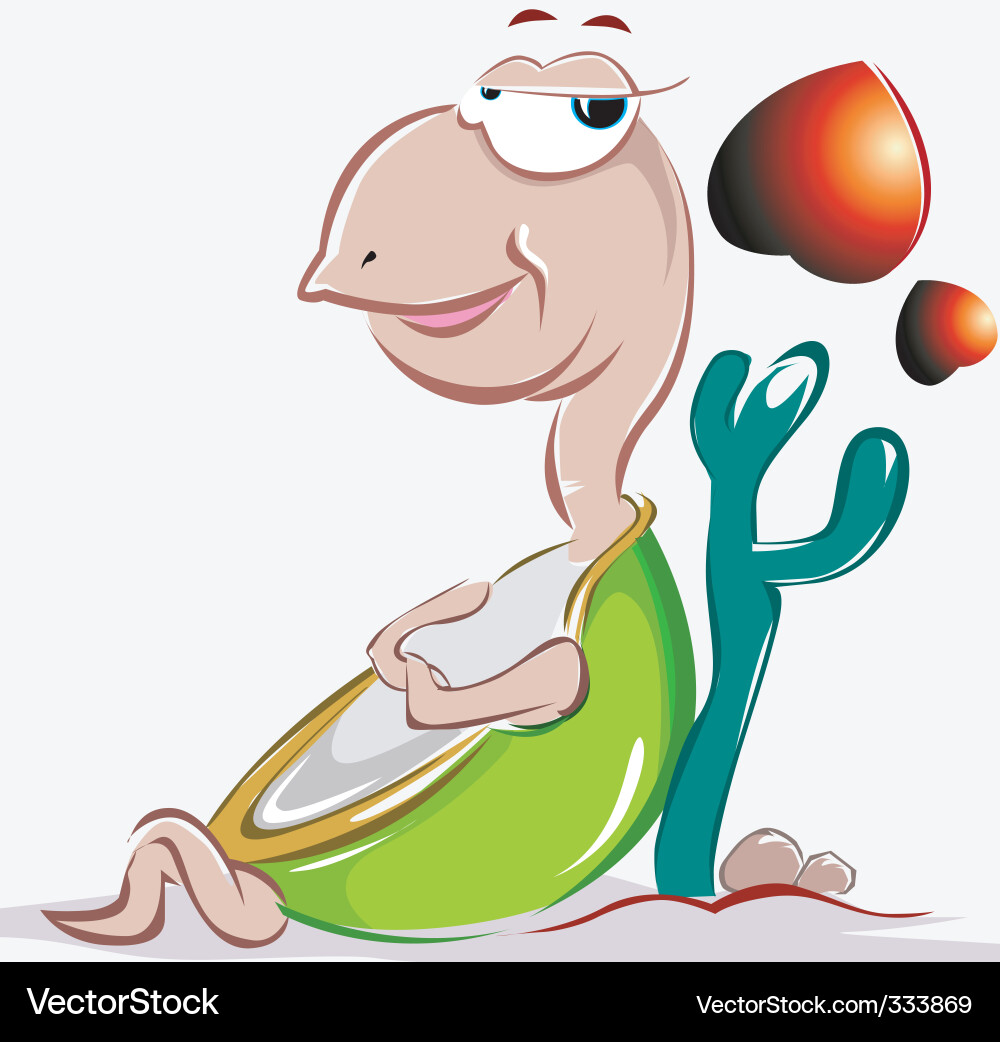 Tortoise Vector Image