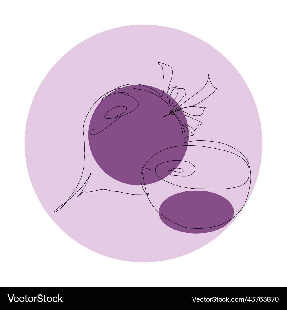 Beet vegetable in continuous line with colorful Vector Image
