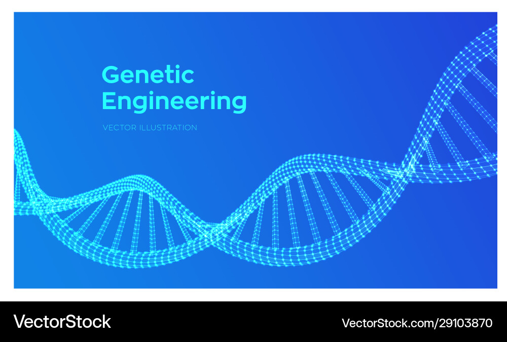 DNA Sequence Wireframe Structure vector image