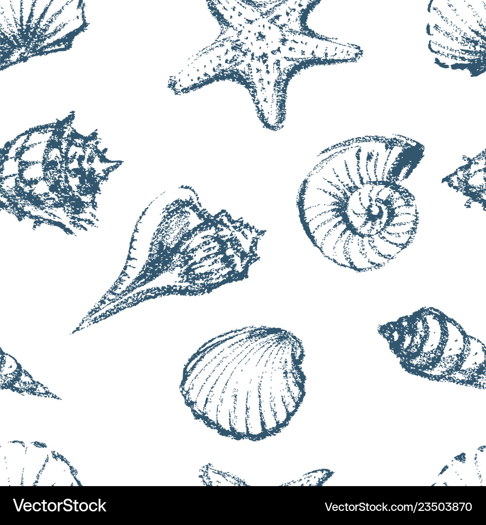 Seashell Sketch Pattern vector image
