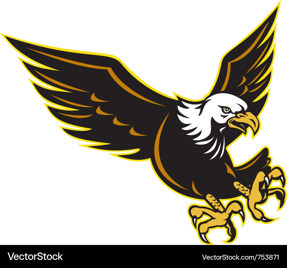 American bald eagle flying Royalty Free Vector Image