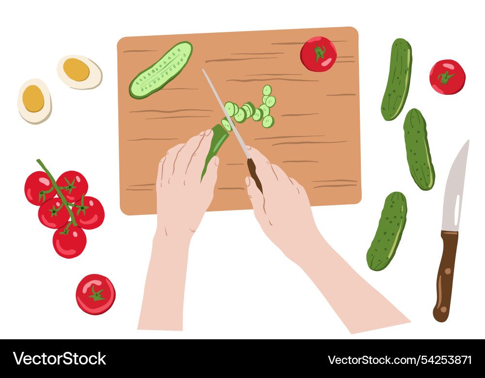 Chef hands slicing cucumbers tomatoes and other Chef hands slicing cucumbers tomatoes and other vector image