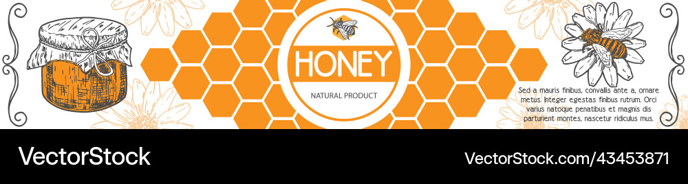 Honig-Banner gesunde Bio-Produktanzeige Honig-Banner gesunde Bio-Produktanzeige vektorbild