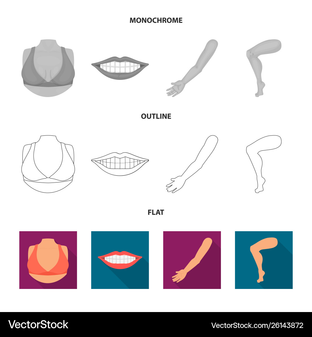Isolated object body and part logo set Isolated object body and part logo set vector image