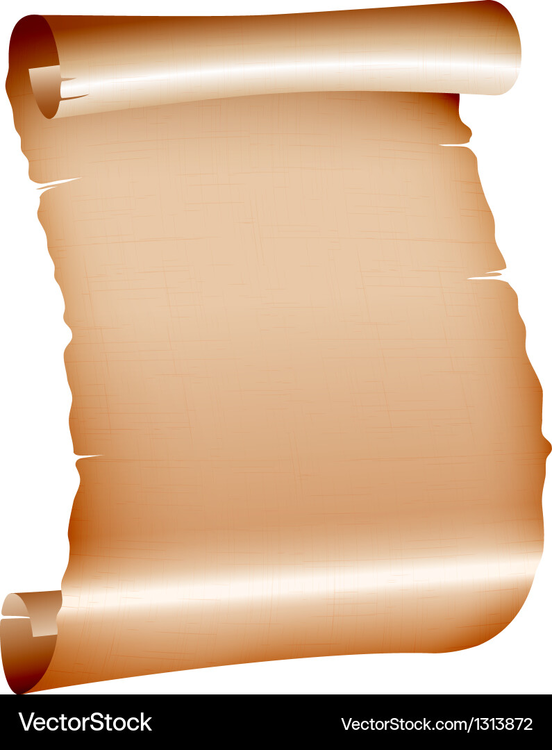 Old blank scroll paper on white background vector image
