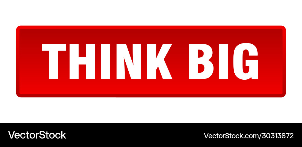 Think big button square red push Vector Image