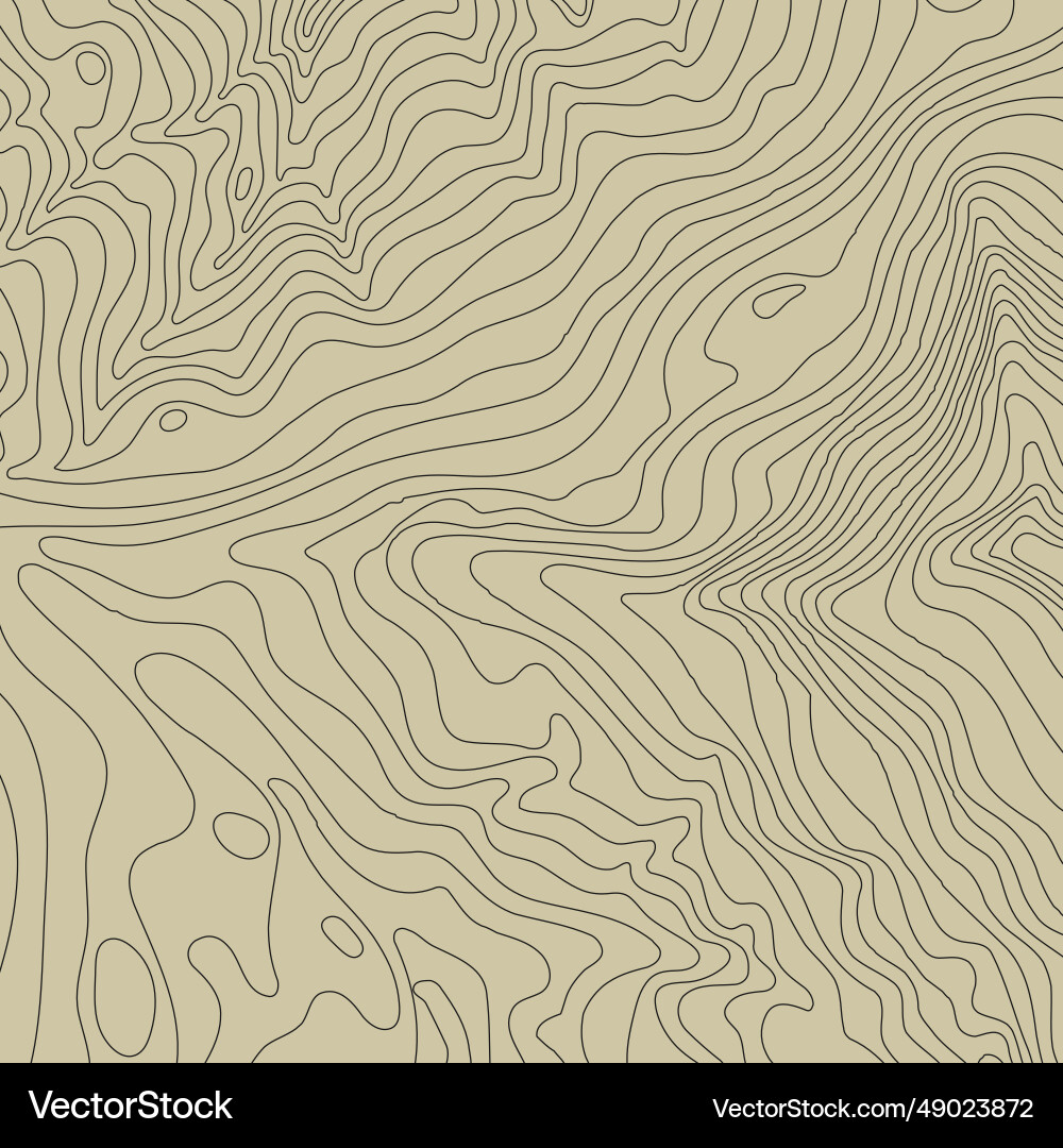 Topographic map background concept with space Vector Image