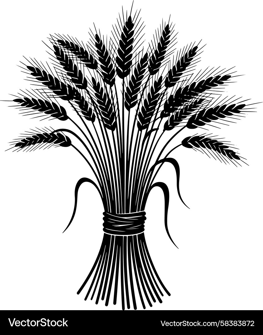 Wheat field black and white Vector Images \u0026 Graphics for Commercial Use |  VectorStock, image size:848x1080