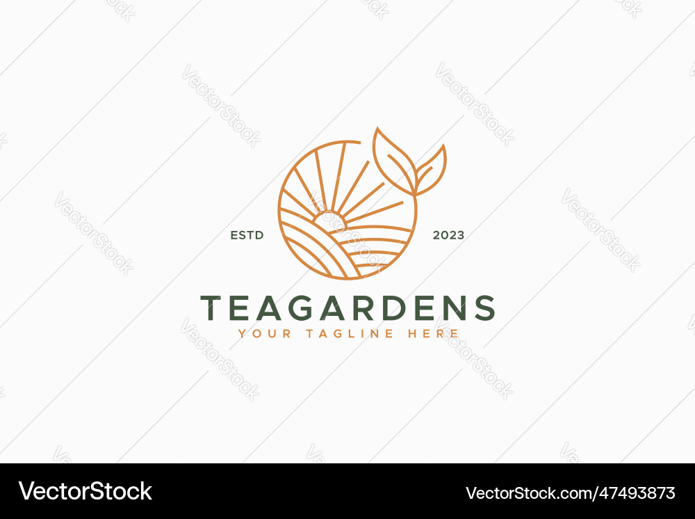 Teegarten frisches Feld am Morgen Sonnenaufgang Logo Teegarten frisches Feld am Morgen Sonnenaufgang Logo vektorbild