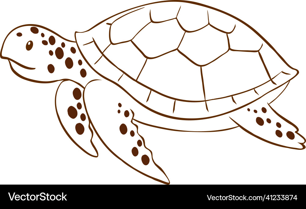 Turtle in doodle simple style on white background vector image