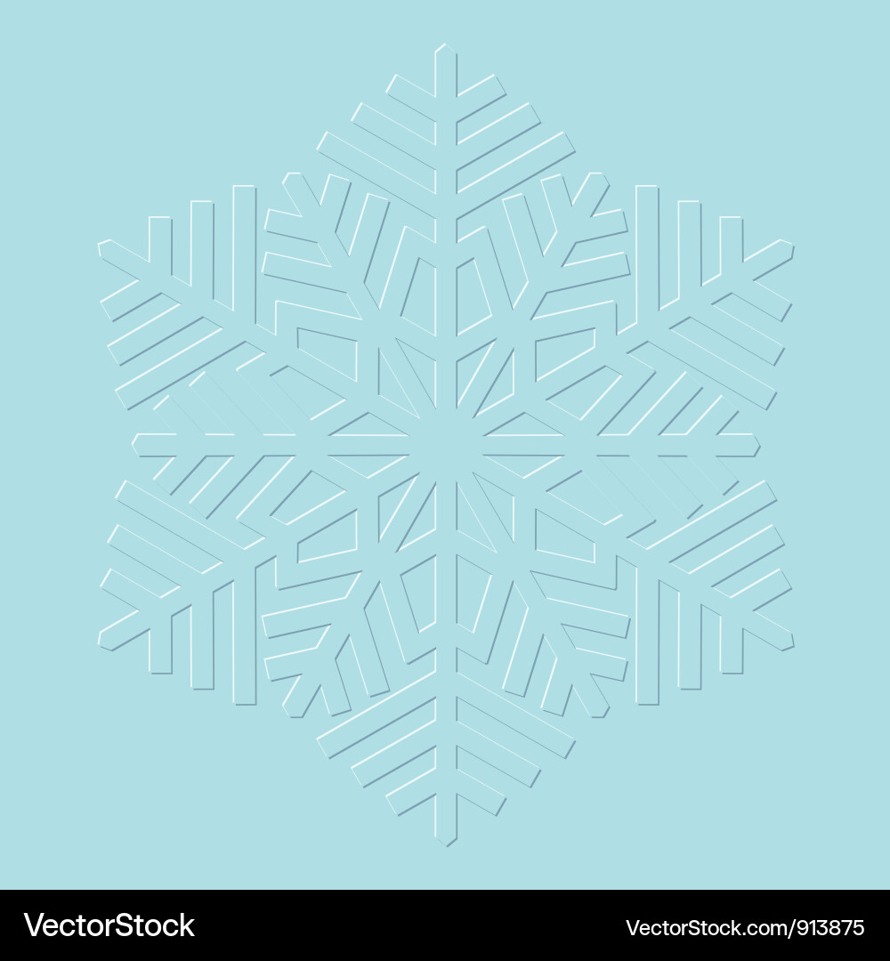 Snowflake Patterns Vector Image