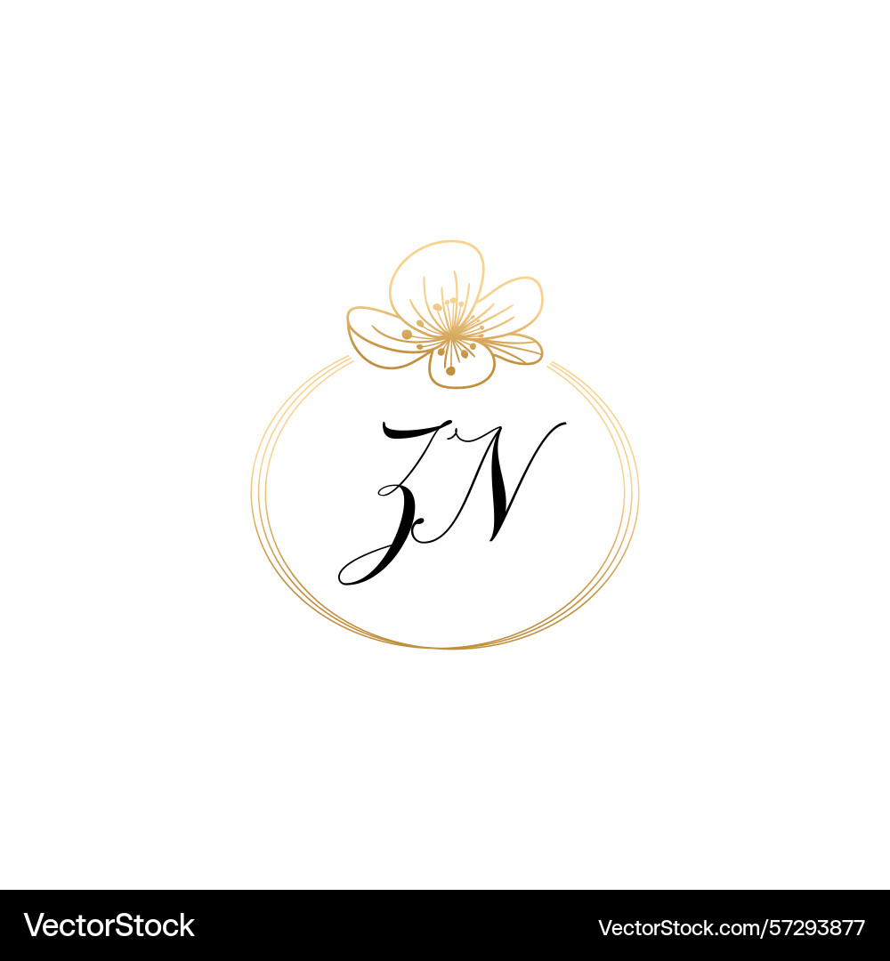 Botanical monogram logos with initial zn Vector Image