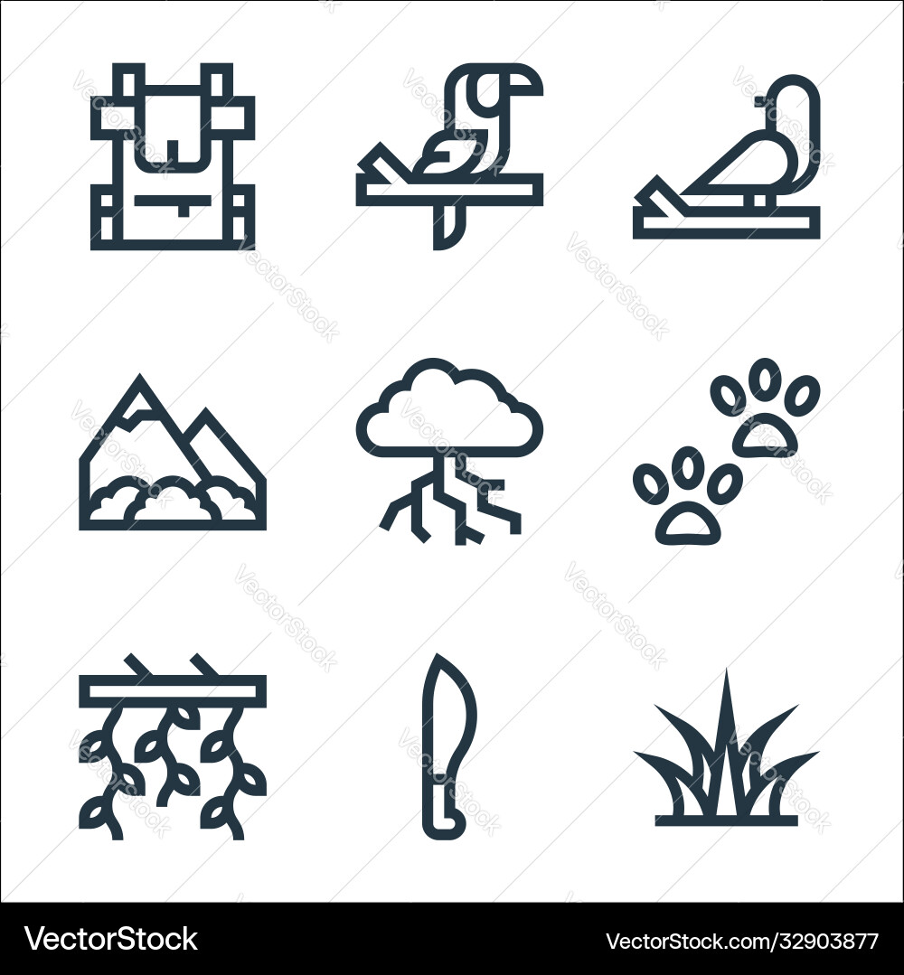 Jungle line icons linear set quality Vector Image