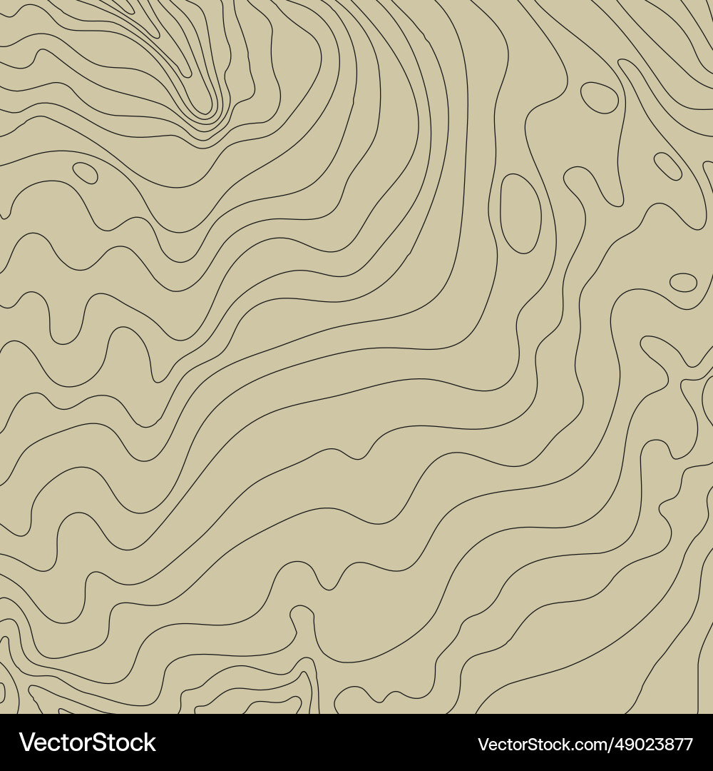 Topographic map background concept with space Topographic map background concept with space Vector Image