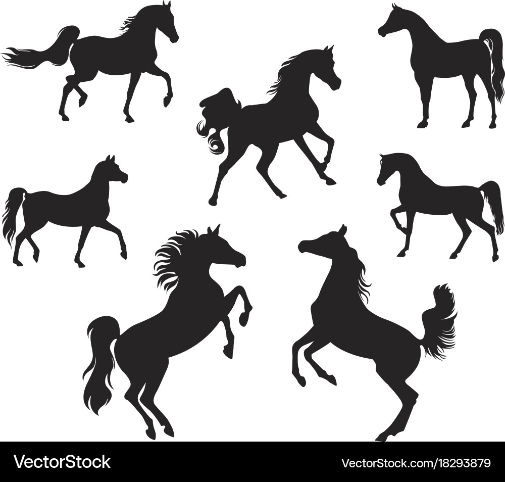 Arabian Horse Silhouettes vector image