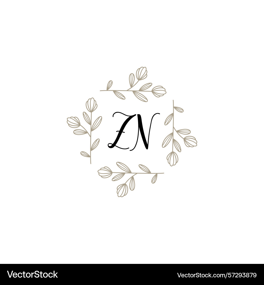 Botanical monogram logos with initial zn Vector Image
