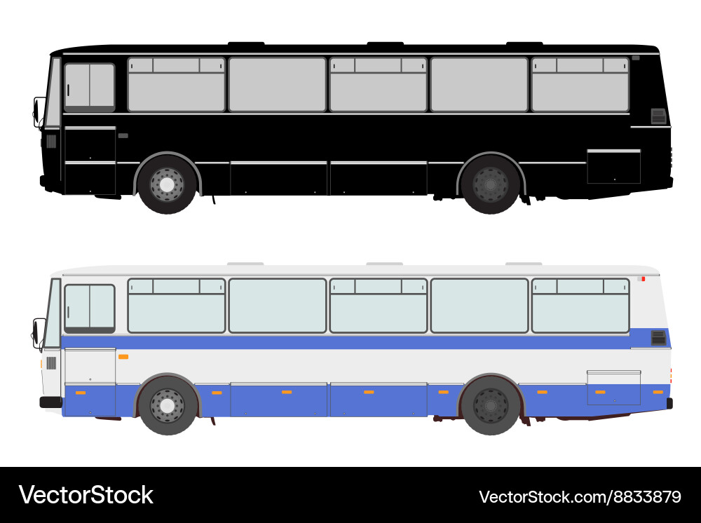 Bus on White Background vector image