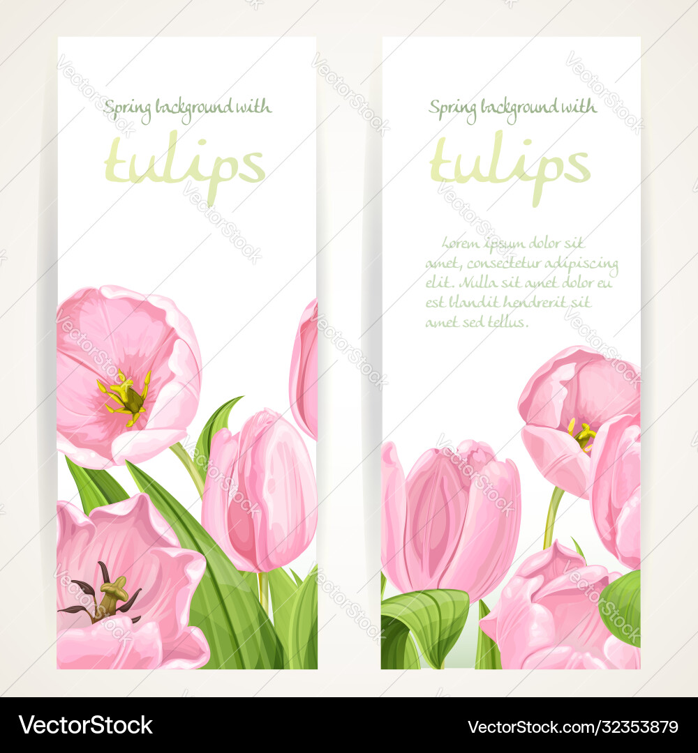 Pink and white tulips on two vertical blank Pink and white tulips on two vertical blank vector image