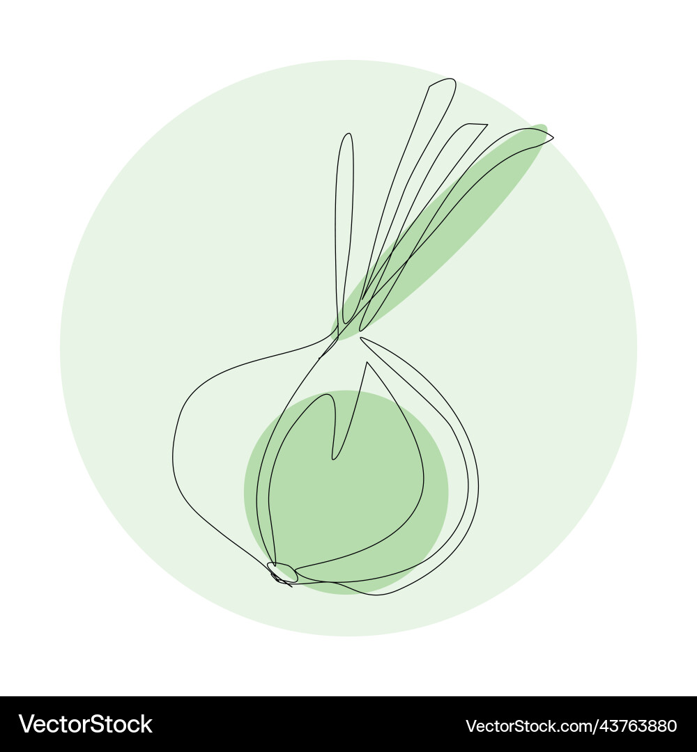 Onion vegetable in continuous line with colorful Onion vegetable in continuous line with colorful Vector Image