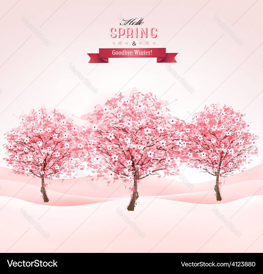 Sakura Blossom Spring Background vector image