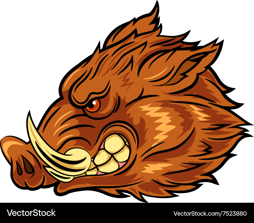Wild Boar Head Mascot Vector Image