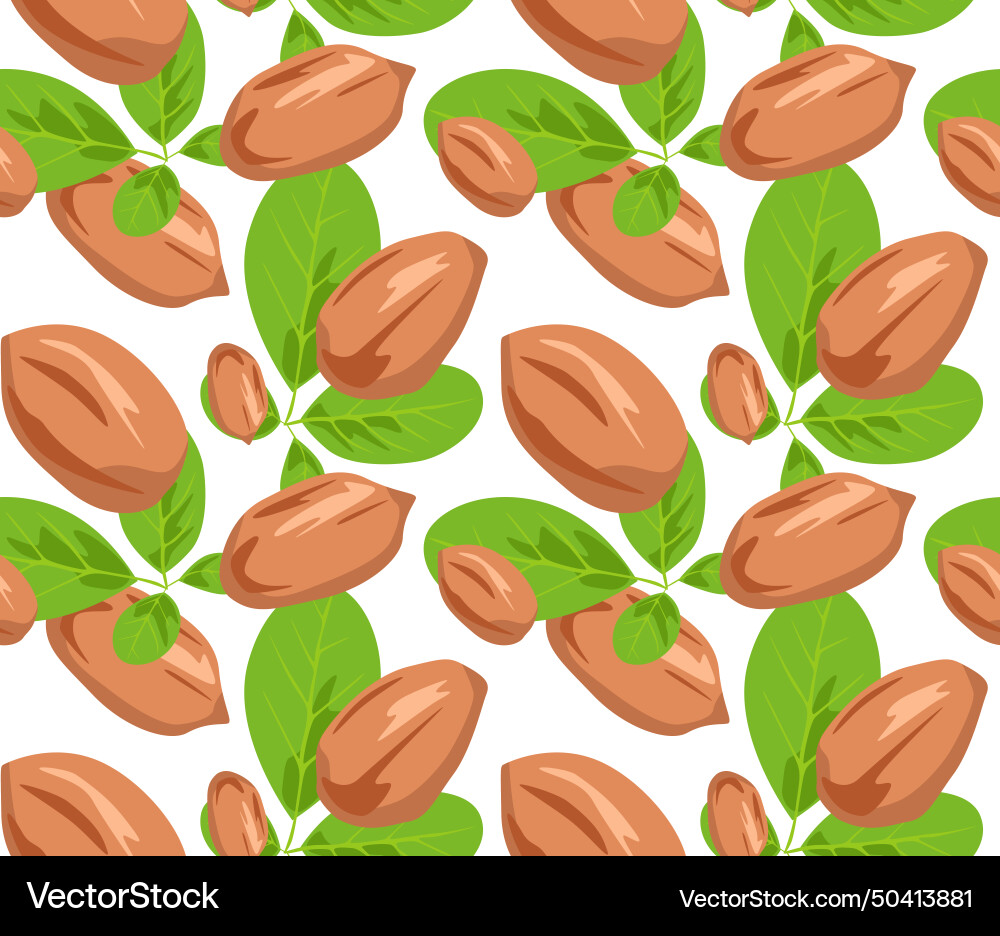 Peanut kernels with tree leaves vector image