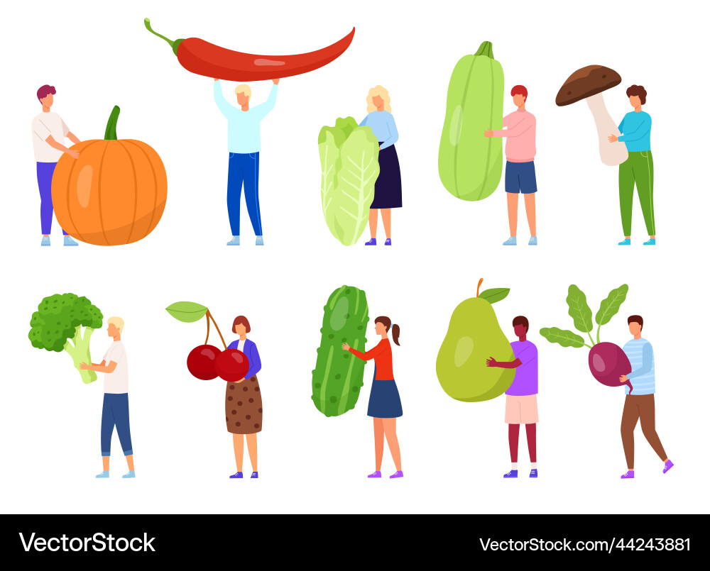 Vegetable food diet fruit and vegetables icons Vegetable food diet fruit and vegetables icons vector image