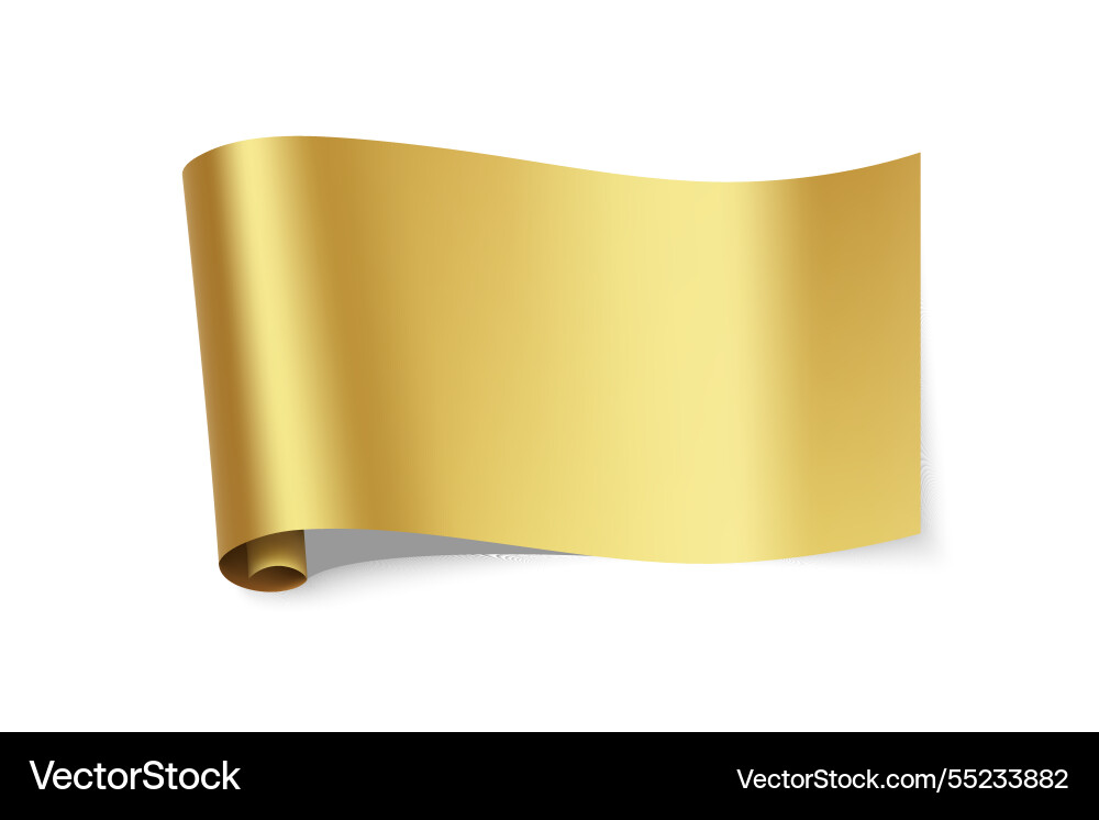 Elegant golden scroll with curved design Elegant golden scroll with curved design vector image