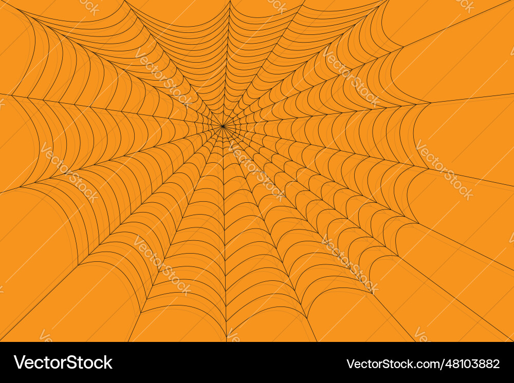 Halloween spider web net texture pattern vector image