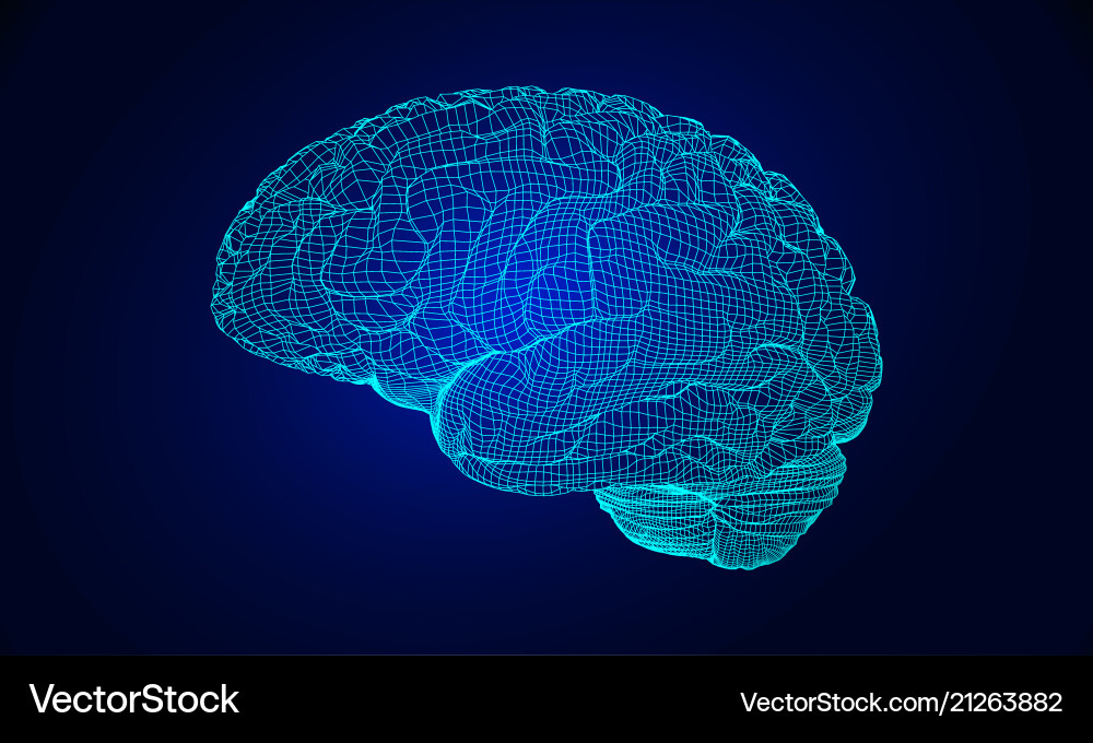 Wireframe Brain Concept Vector Image