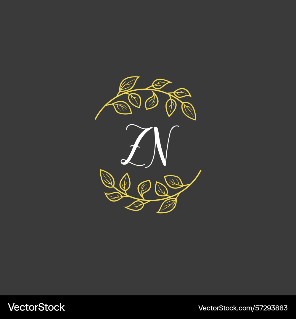 Botanical monogram logos with initial zn Botanical monogram logos with initial zn Vector Image