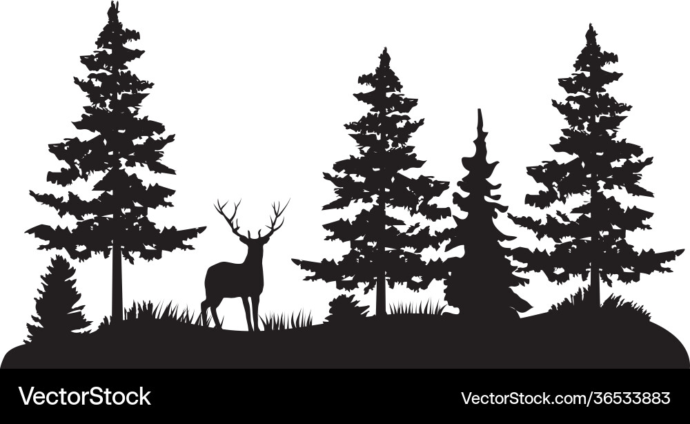 Deer in a pine forest Deer in a pine forest vector image