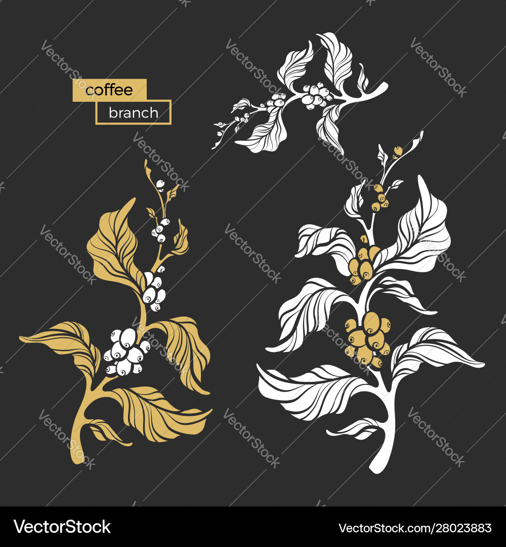 Set branch shape color vector image