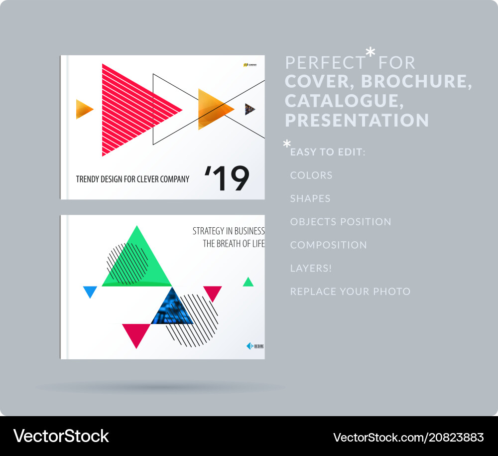 Triangular Presentation Templates vector image