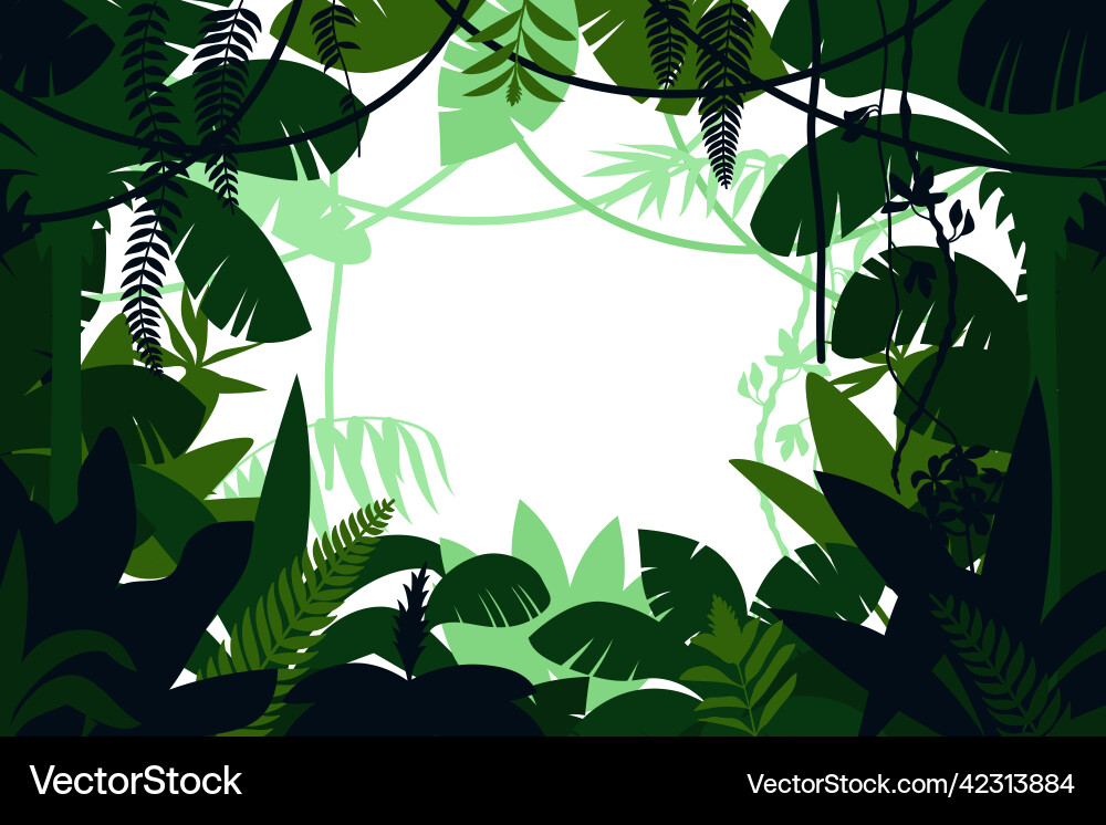 Colored jungle frame vector image