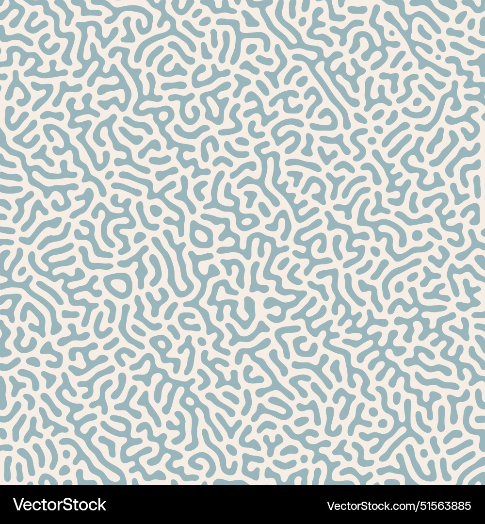 Abstract pattern background with a turin design vector image