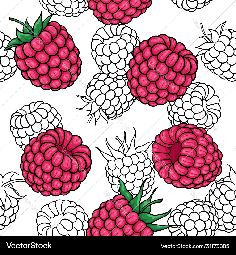 Pink & White Raspberry Pattern vector image